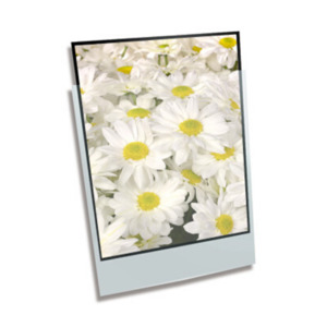 Polypropylene Enclosures For Box Storage: Polypropylene Enclosure - 9 x 12" 229mmx305mm