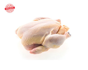 Chicken – Continental Meats: Frozen Chicken 1kg