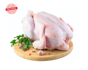 Chicken – Continental Meats: Fresh Chicken