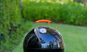 Proq: ProQ Lid Assembly - Ranger