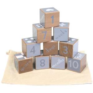 Discoveroo Wooden Shape and Number Blocks