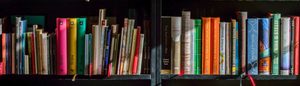 Products: Self Publishing Matters: Mike Howell