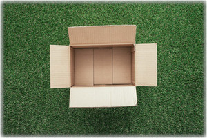 No 6 Cardboard Box 455 x 305 x 305mm Each