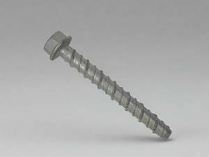 Screw Bolt 100mm - Standard