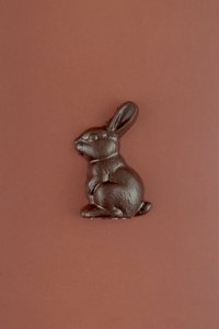 Products: Crunchy Rabbit - Coromandel Chocolate
