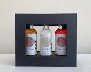 Artisan Gin Discovery Box