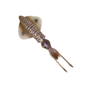 Savage 3D LB Swim Squid Soft Plastic 25cm