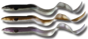 Savage Real Eel 16cm