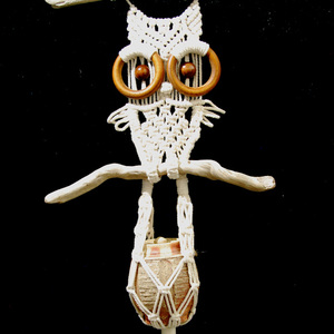Macrame Owl and Pot Wall Hanging