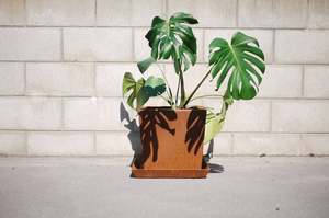 Tapered planter with tray