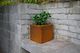 Square planter