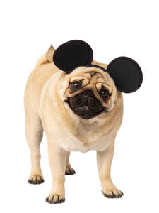 Mickey Mouse Ears for Pets - Disney Mickey Mouse