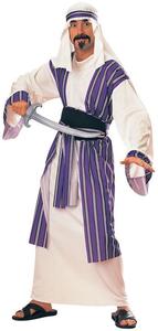 Aladdin Costumes: Desert Prince Costume for Adults