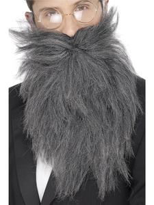 100 Days Of School Costumes Accessories: Long Grey Beard & Moustache for Adults