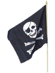 25 And Under: Jolly Roger Pirate Flag Accessory