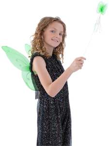 25 And Under: Butterfly Wings & Wand Set for Kids