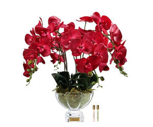 Luxury Flowers: Cote Noire Luxury Orchid Centrepiece Bouquet - Red & Gold Badge - CPO14