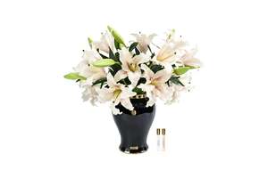 View All Flowers: NEW - Cote Noire Imperial Lilies - Blush - IMPL02