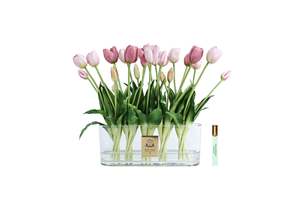 View All Flowers: NEW - Cote Noire Oval Tulips - Pink - OT02