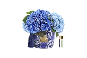 View All Flowers: NEW - Cote Noire - Oriental Hydrangeas - Blue - OH03