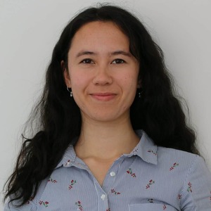 Counselling: Online Counselling Session