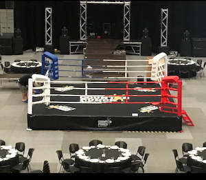 Boxing Ring: Custom Counterpunch Boxing Ring