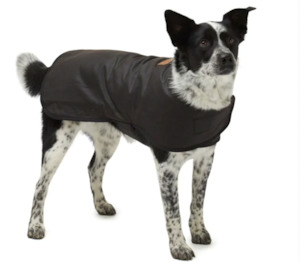 Pets: Winter Oilskin Dog Coat