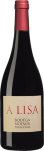 Bodega Noemia A Lisa Malbec