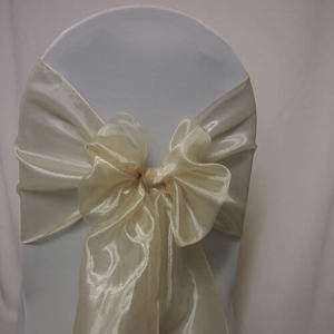 Products: Sash Champagne Organza
