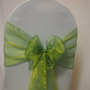 Products: Sash Green Organza Apple Green