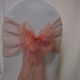 Sash Pink Organza Peach