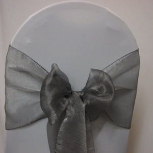 Sash Silver Organza