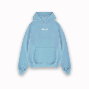 Hoodies: Powder Blue Box fit Hood