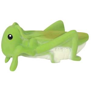Teething: Tikiri Grasshopper