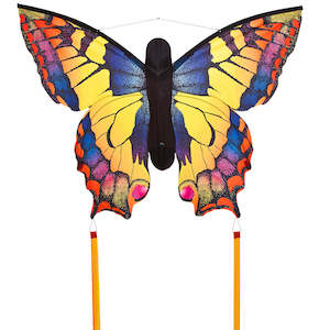 Musical Instruments: Blues Band Harmonica