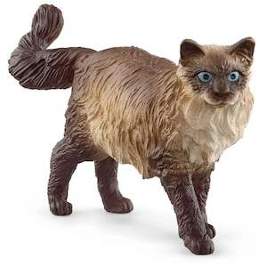 SC Ragdoll Cat (Green Dot)