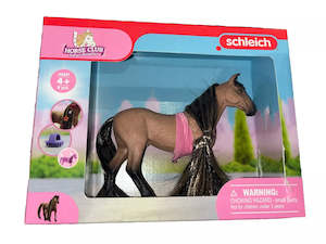 SC Beauty Horse Akhal-Teke Stallion