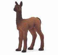 SC Llama Foal (Green Dot)