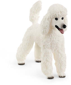 SC Poodle (Red Dot)