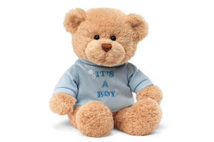 Gund 'It's a Boy' Blue Bear 30cm