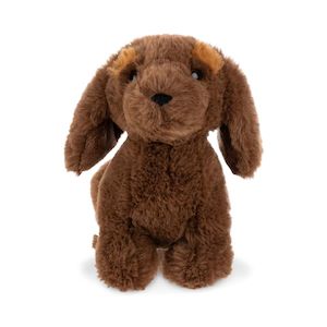 Small Lump Sausage Dog