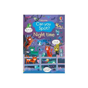 Picture Books: Can You Spot Night Time