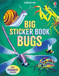 Books: Big Sticker Book Bugs