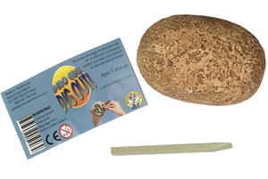Dino Egg Dig Out