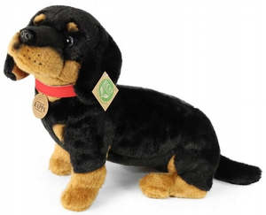 New: Rappa Dachshund With Collar 30cm