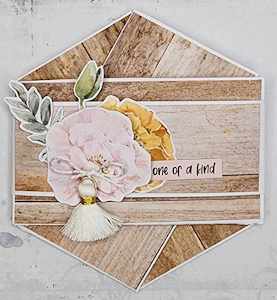 Cardmaking Kits Instructions Only: C2324 : Hexagonal Folding Card (CK) **Downloadable Instructions**