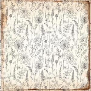 Kaisercraft Enchanted July 19: P2790 : Enchanted 12x12 Scrapbook Paper - Starry-eyed