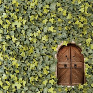 Kaisercraft Enchanted July 19: P2786 : Enchanted 12x12 Scrapbook Paper - Mystical