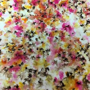 Coloured Stain Infusions: Infusions 15m -  CS17 Rusty Car