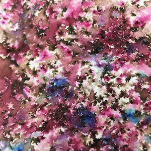 Coloured Stain Infusions: Infusions 15m -  CS24 Raspberry